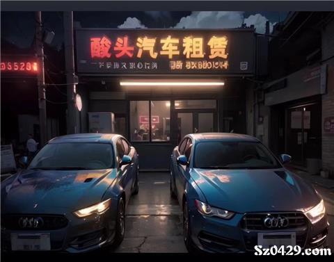 綏中酸頭汽車租賃 便捷出行，專業(yè)服務(wù)